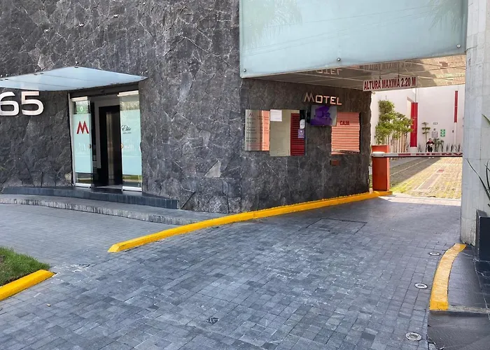 M Elite Rojo